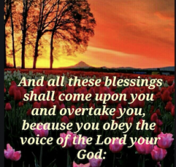 The Blessing Shall Come Upon You and Overtake You! - Fathers Heart Ministry